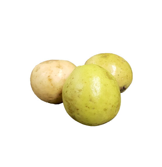 Guayaba Pera