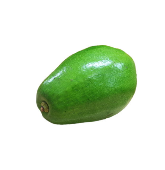 Aguacate Papelillo