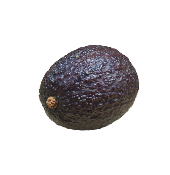 Aguacate Hass Und