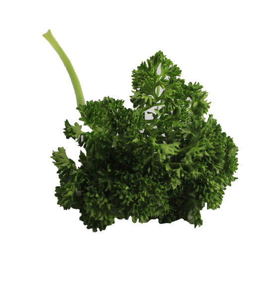 Perejil Crespo *200 g