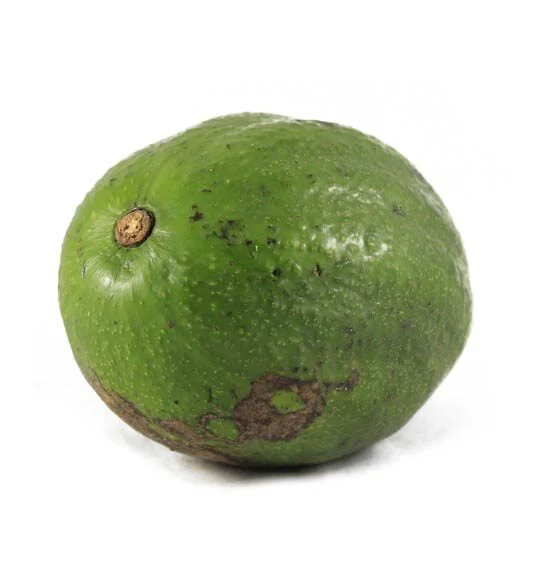 Aguacate Chokey