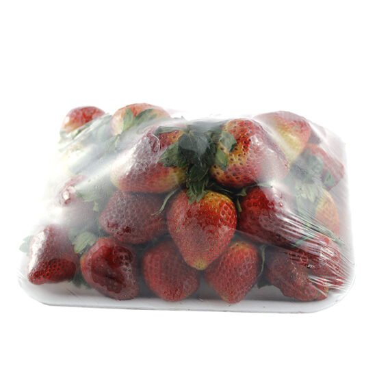 Fresa Bandeja Grande