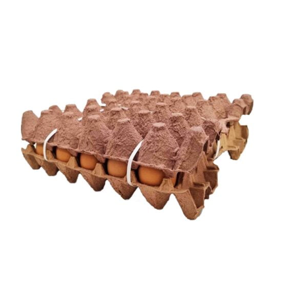 Huevos Tipo Extra *30 Und