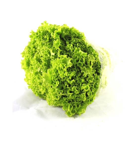 Lechuga Crespa En Bolsa Hortifresco