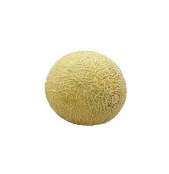 Melón
