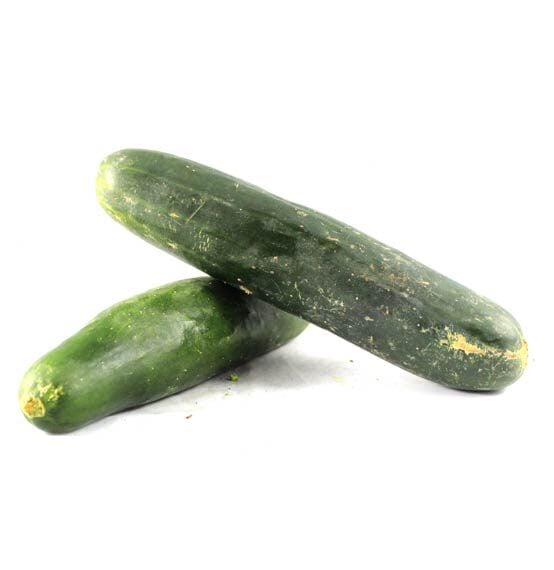 Pepino Cohombro