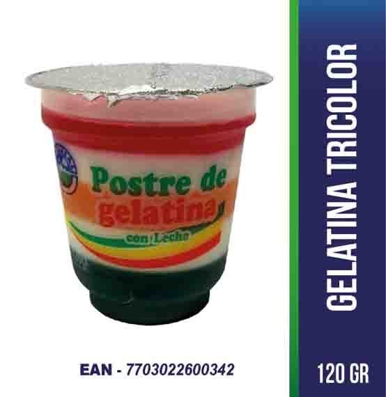 Postre De Gelatina El Zarzal *120 Grms