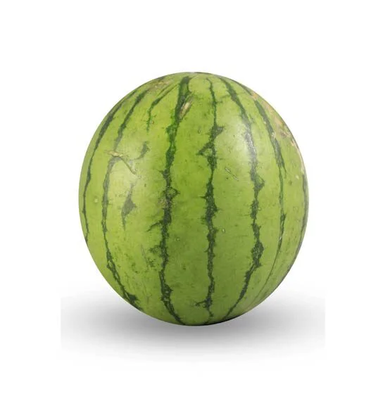 Sandia Baby