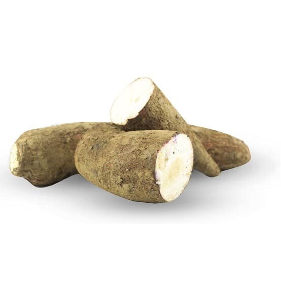 Yuca