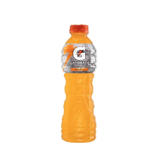 Gatorade Pet*500 Ml Mandarina